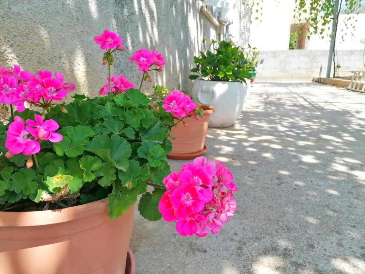 Holiday Home Blue Dream Putniković エクステリア 写真
